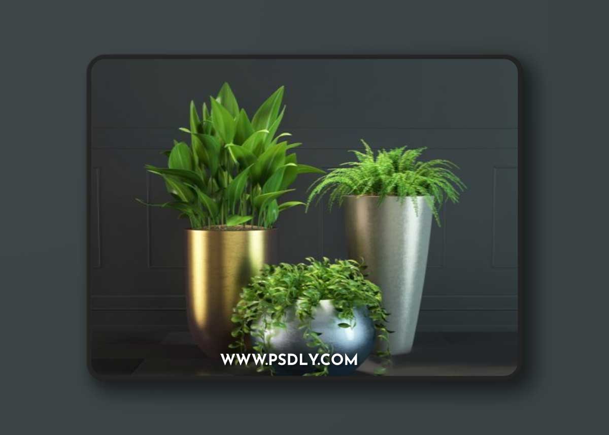 Pro 3DSky - Plant Set 1-1