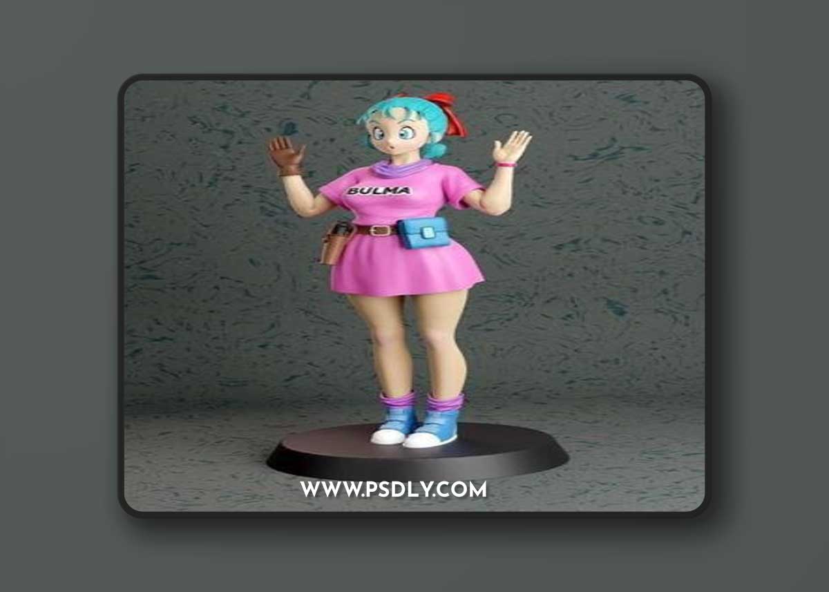 Bulma - Zahen Studio – 3D Print Model
