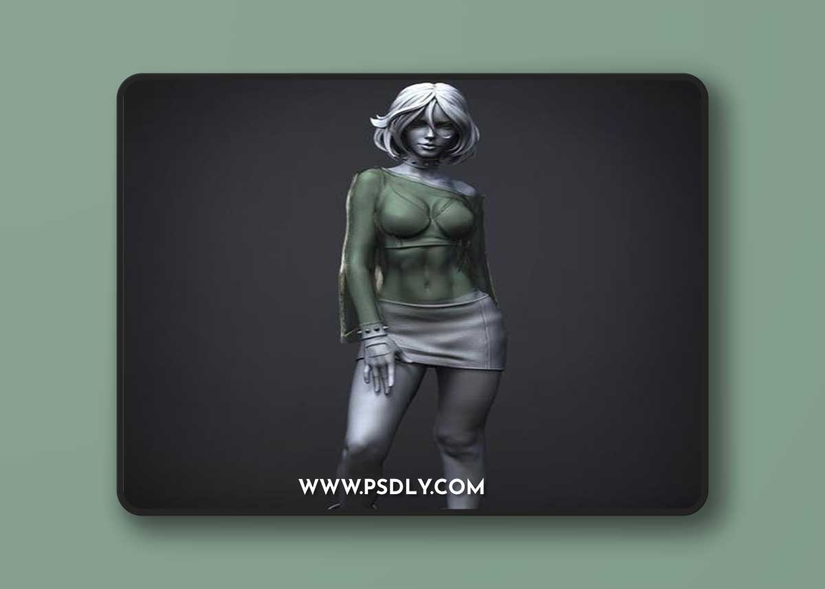 Ca 3d Studios - Rogue-Xmen Evolution – 3D Print Model