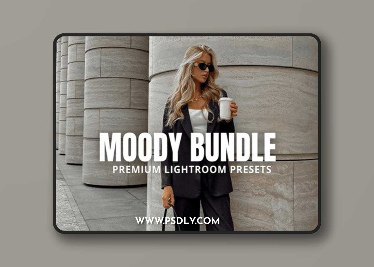 Moody Lightroom Presets Bundle