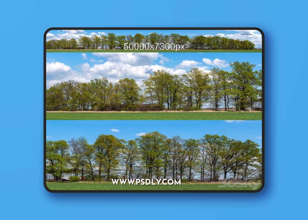 Panorama with Trees v2. 50k