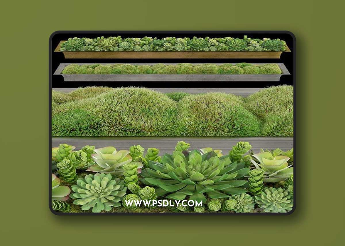 RH Handcrafted Tray