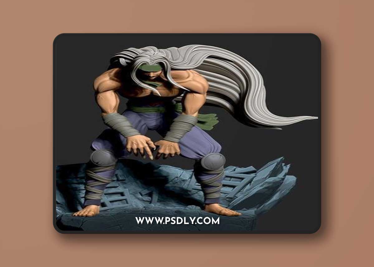 Raizen - Yuyu Hakusho – 3D Print Model