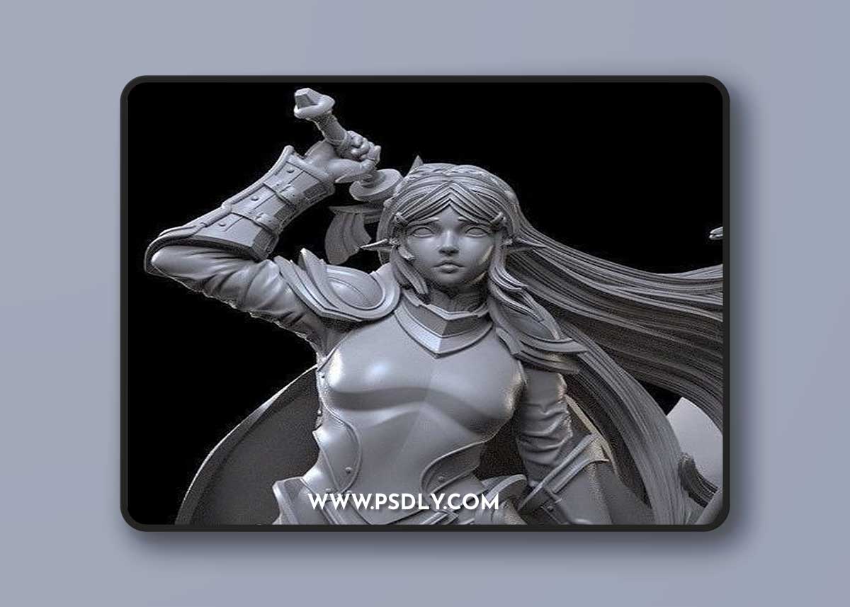 Zelda - Armored Warrior – 3D Print Model