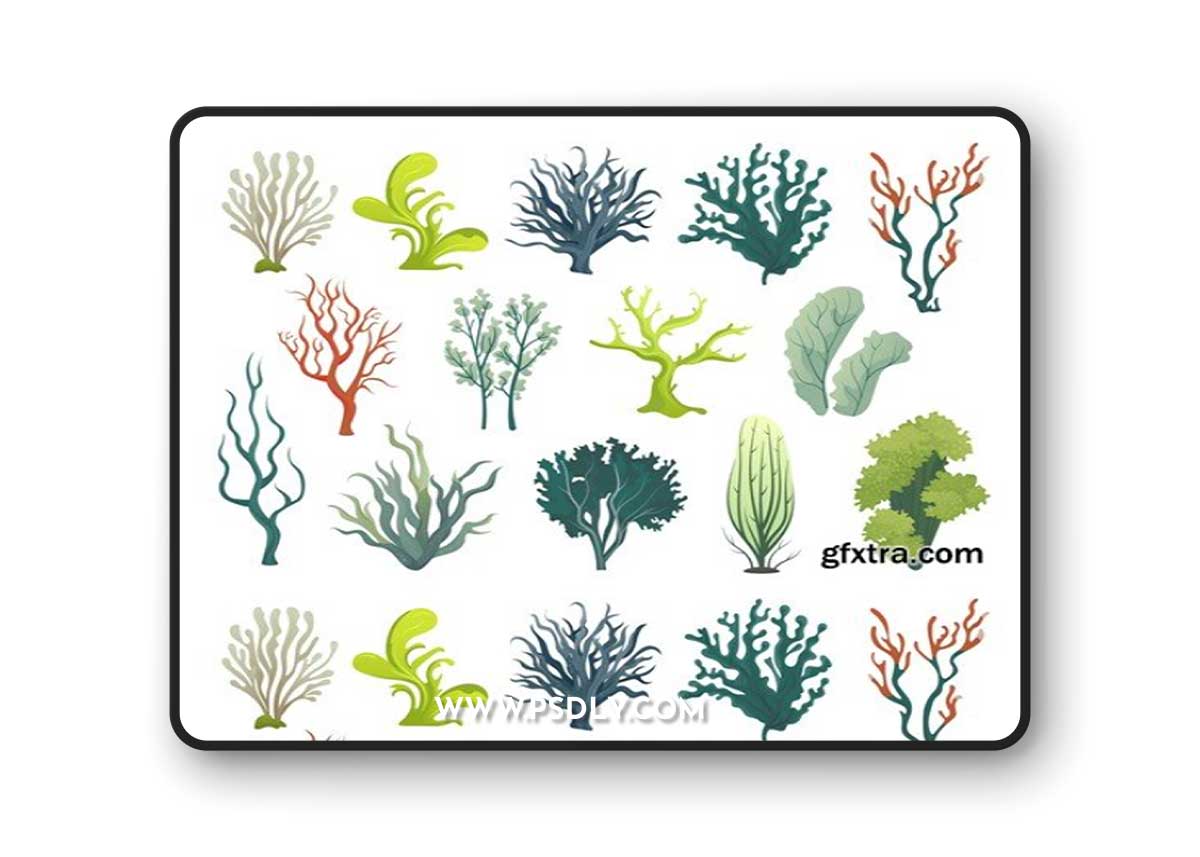 Algae Set 9R475XA