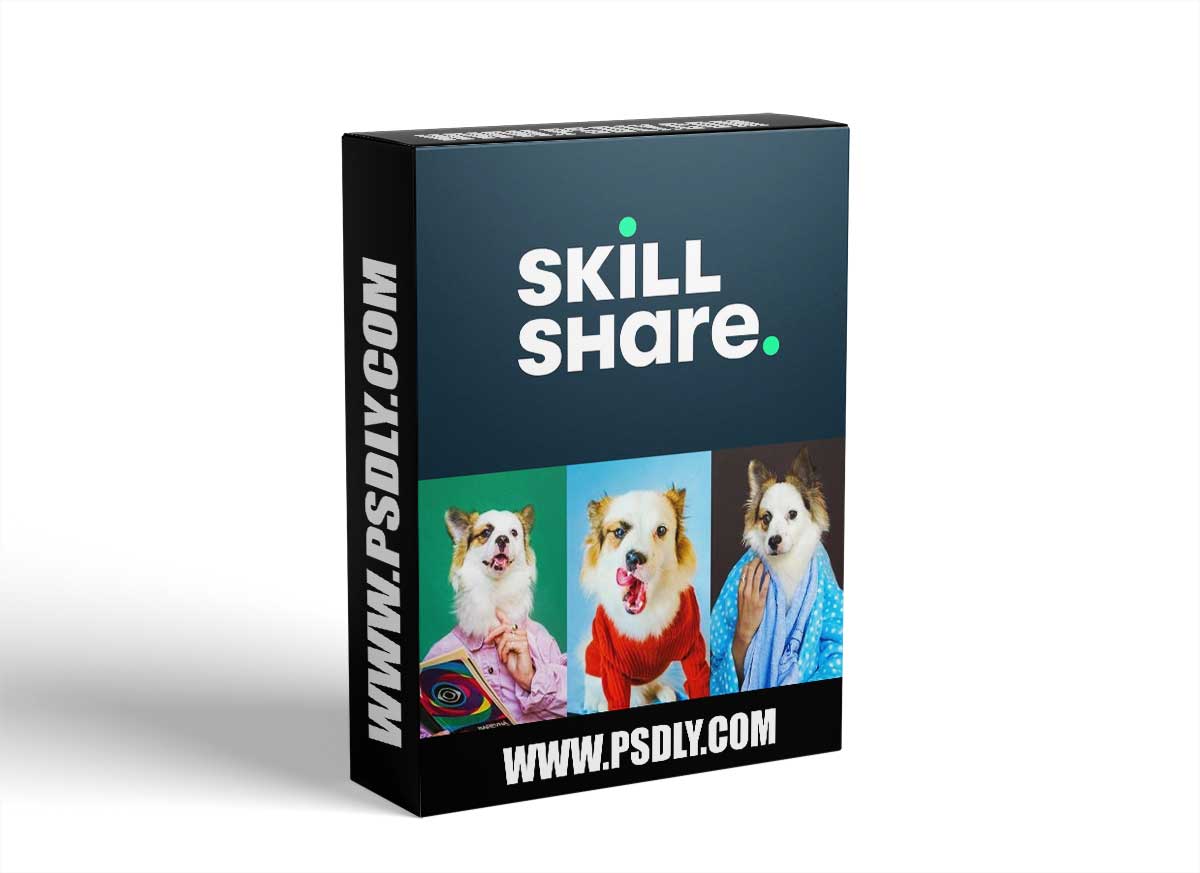 Dog Portraits at Home: Capture Creative Funny Photos of your Pet