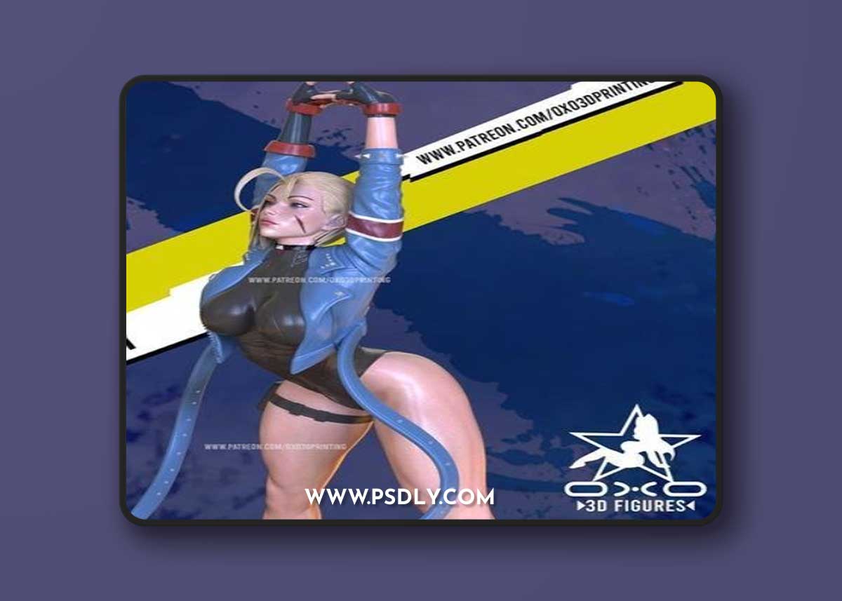 OXO3D - Cammy from Street Fighter – 3D Print Model