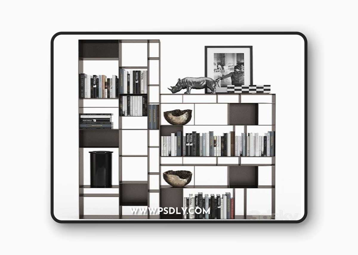 Cattelan Italia Latitude Bookcase