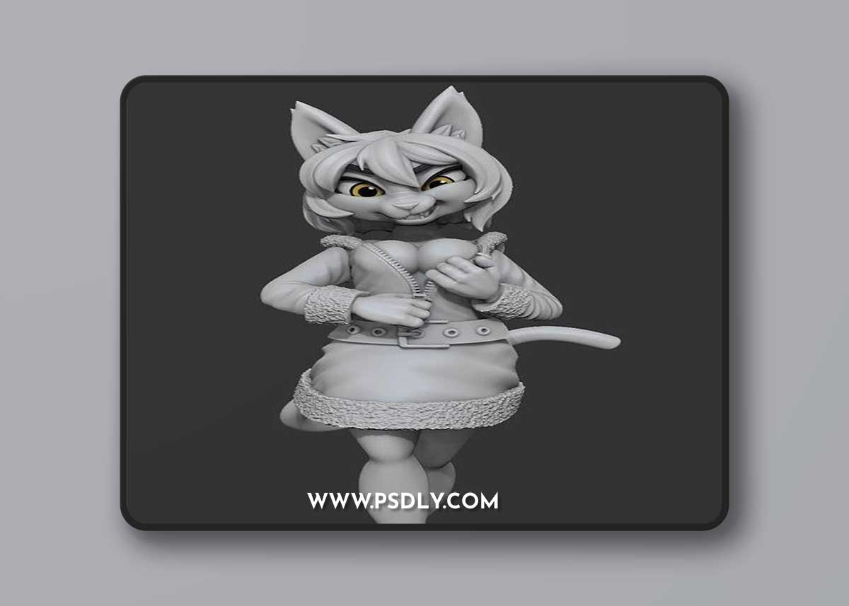 Catwoman and Cat in miss santa costume – 3D Print Model