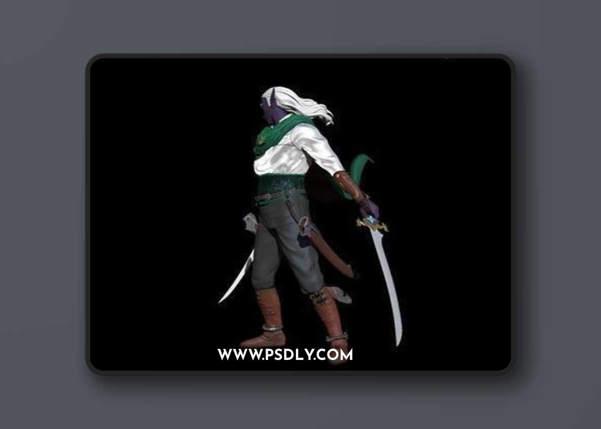 Drizzt – 3D Print Model
