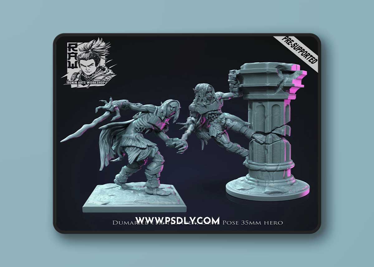 Ronin Arts Workshop - Dumariel - Action and Idle pose hero – 3D Print Model