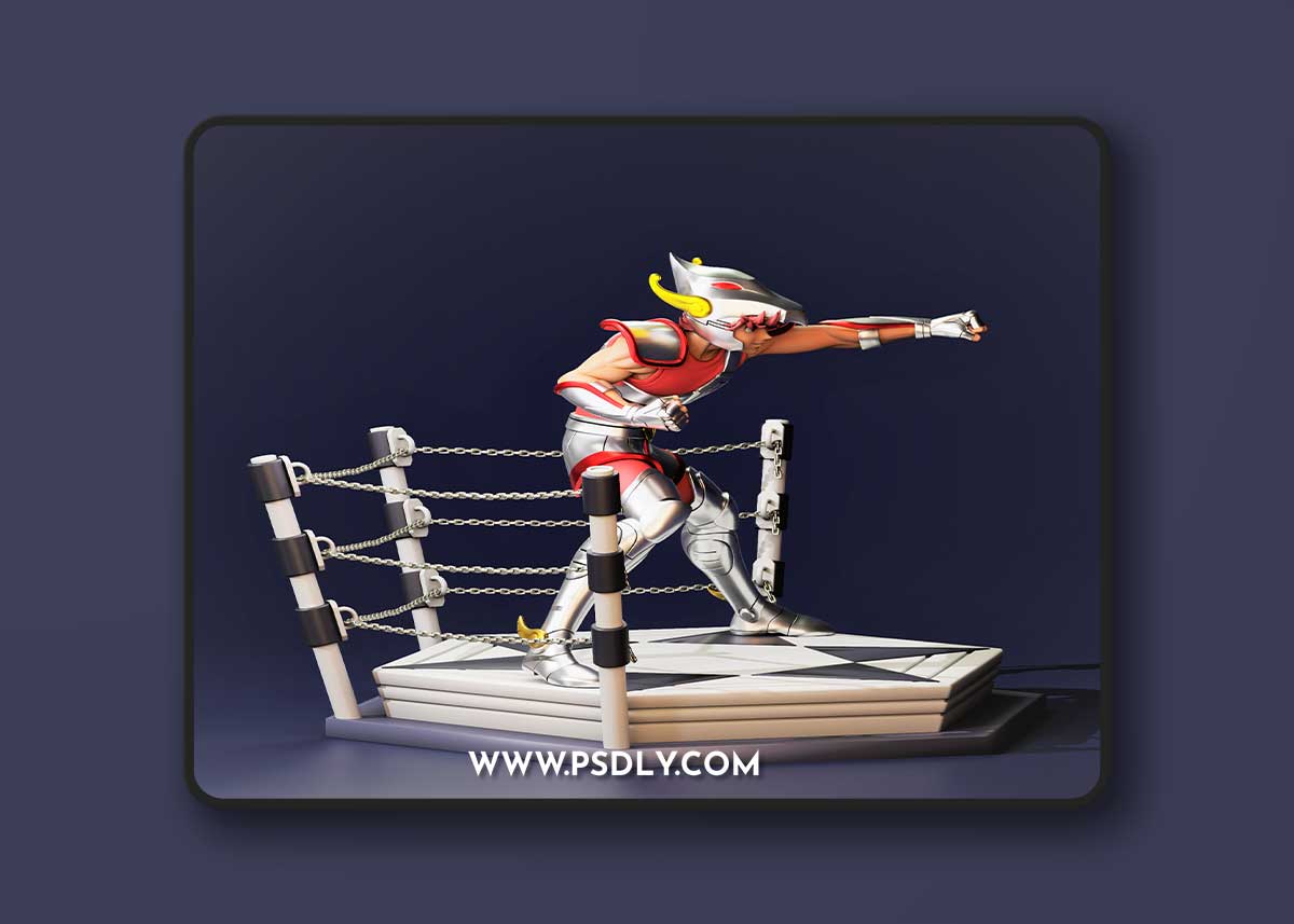 Saint Seiya - Pegasus Seiya v.1 – 3D Print Model