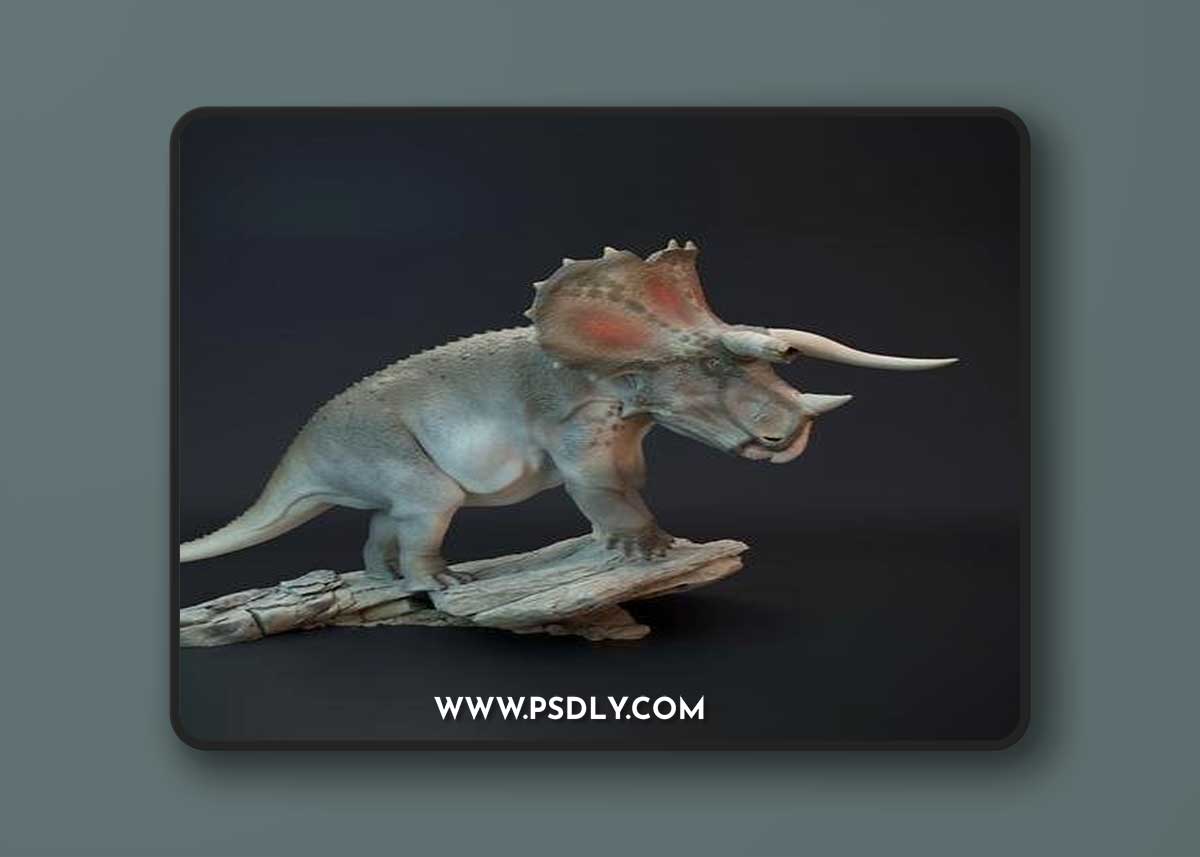 Triceratops old bull dinosaur – 3D Print Model