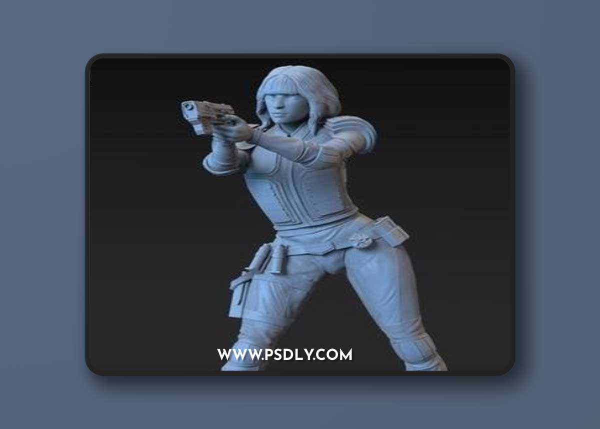 Anderson Judge – 3D Print Model