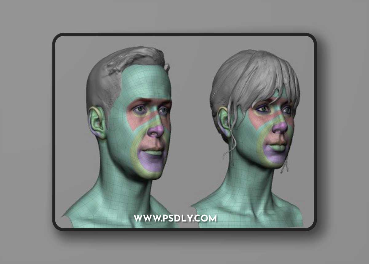 Artstation - Production ready head base mesh - Tom Parker