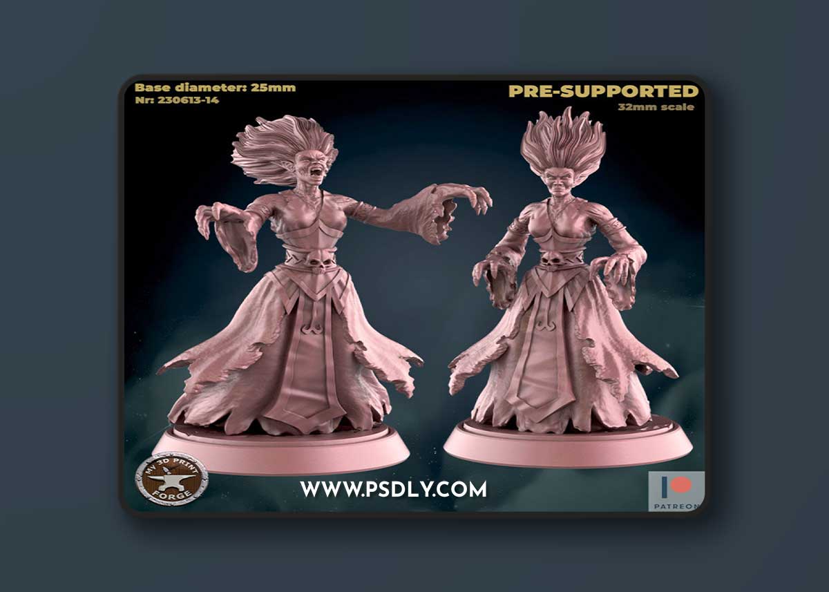 Banshee Ghost Two Models – 3D Print Model