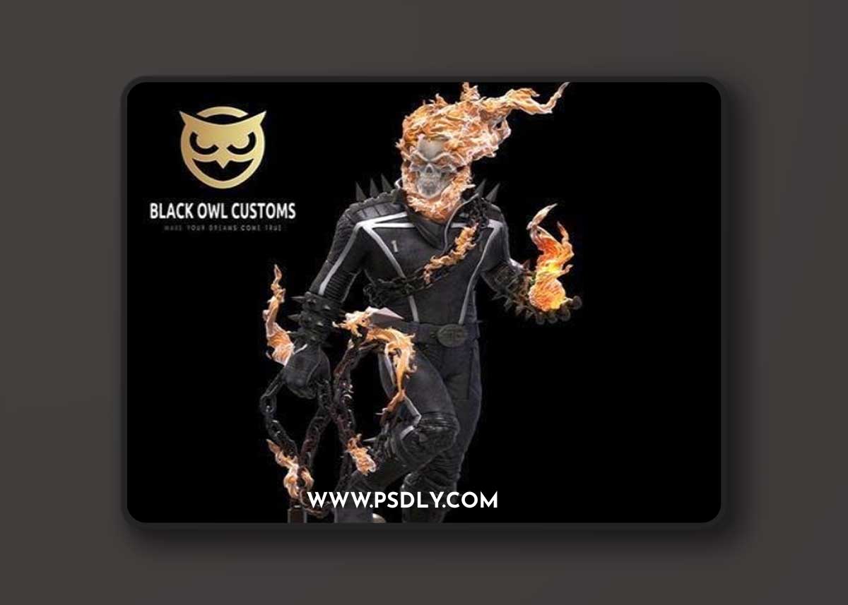 Black Owl Customs - SOLO HOLLOW – 3D Print Model