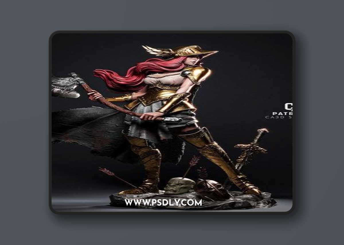 Ca 3d Studios - Valkyrie – 3D Print Model
