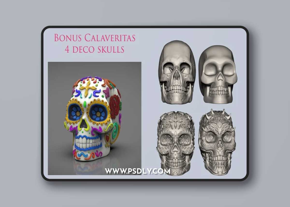 Calavera Color Render – 3D Print Model