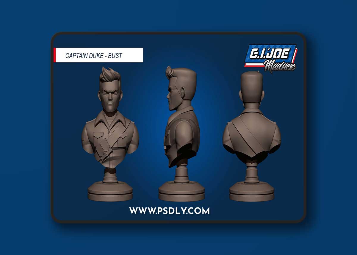 Captain Duke Bust – 3D Print Model