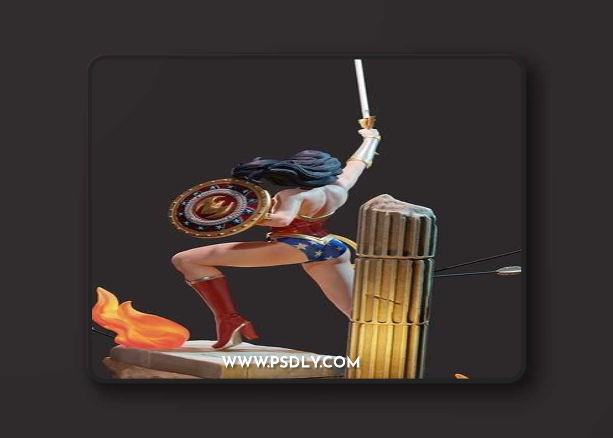 Eddy Workshop - Wonder Woman – 3D Print Model