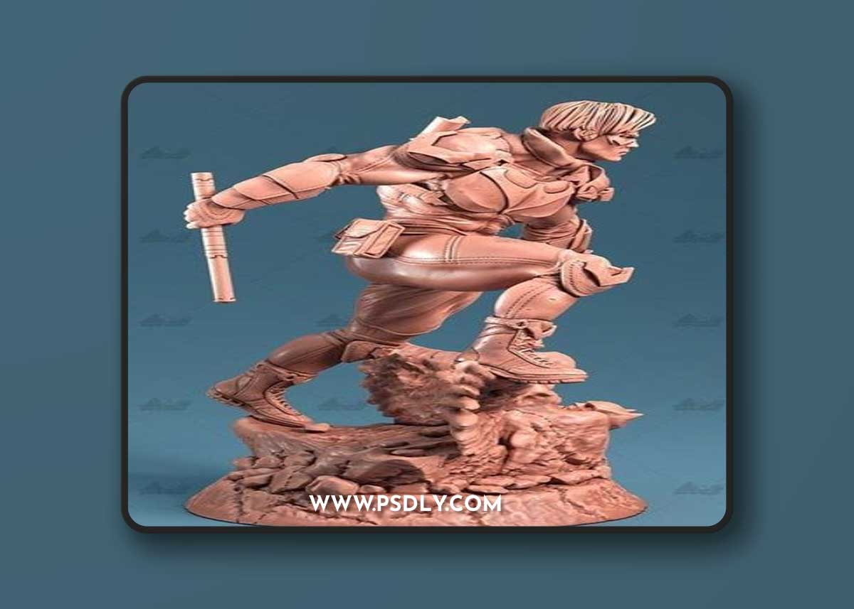 Nightwing – 3D Print Model