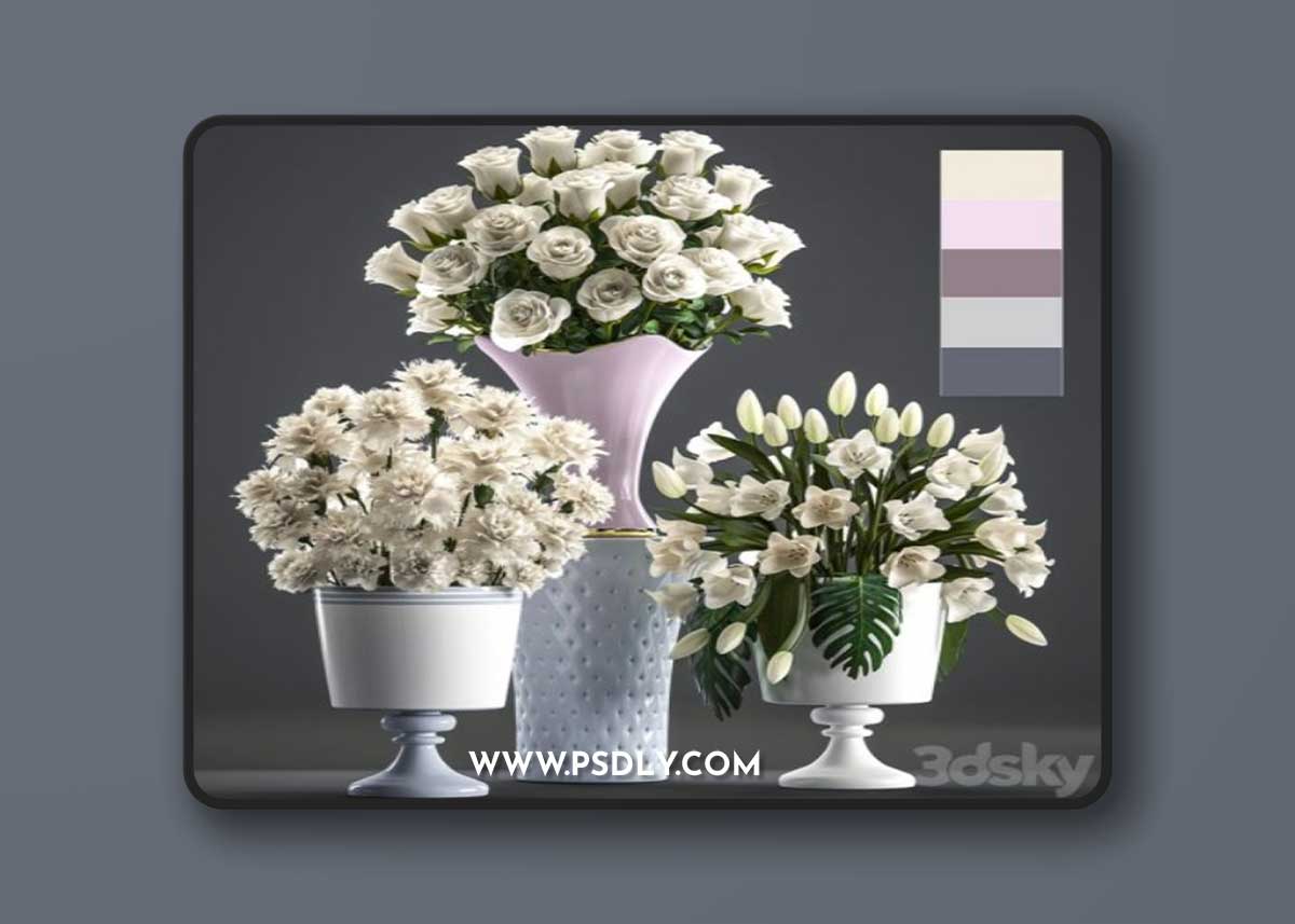 Set of White Flowers 58 White Bouquets Pot Flowerpot White Tulips White Roses Carnation Vase