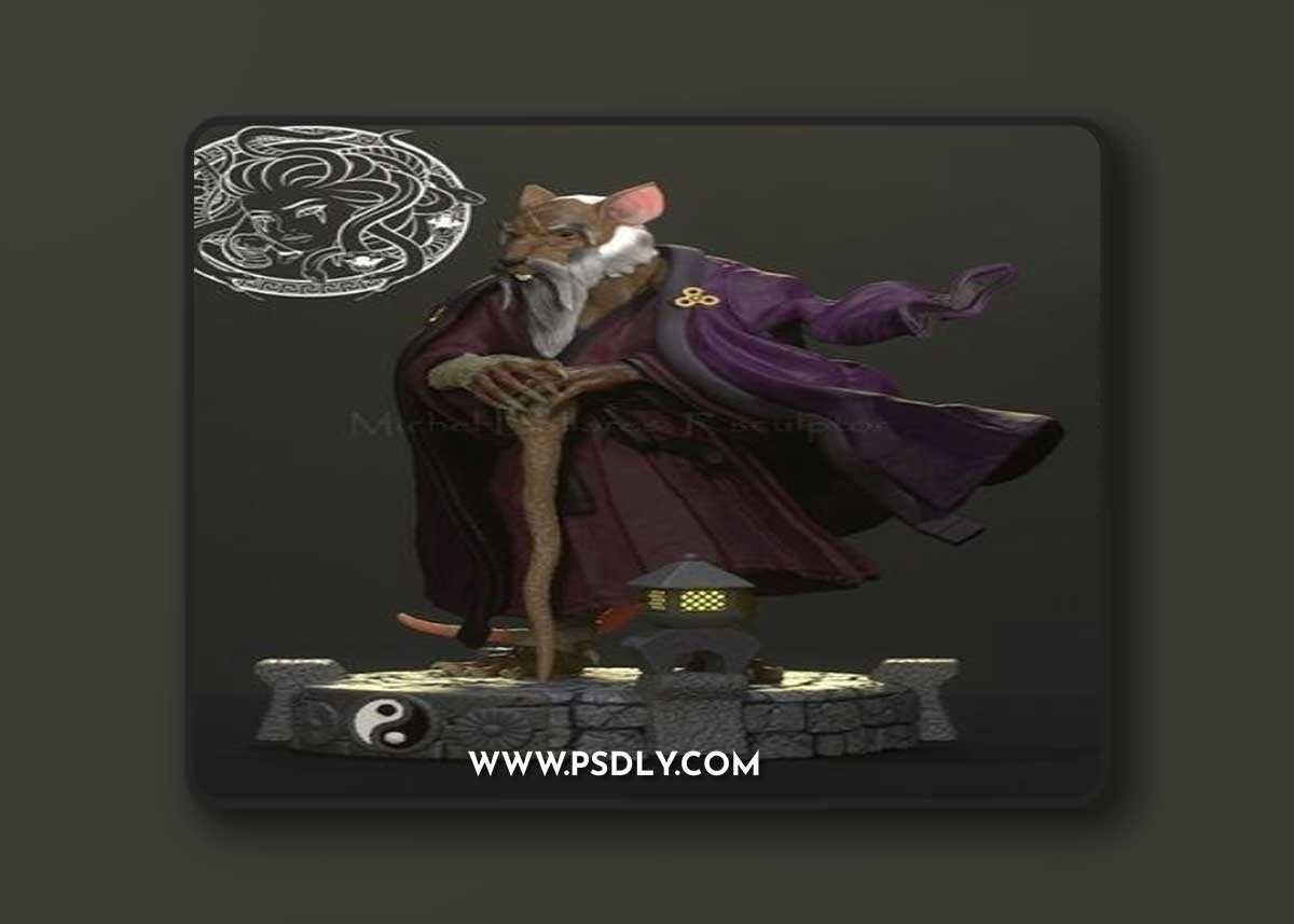 Splinter TMNT – 3D Print Model