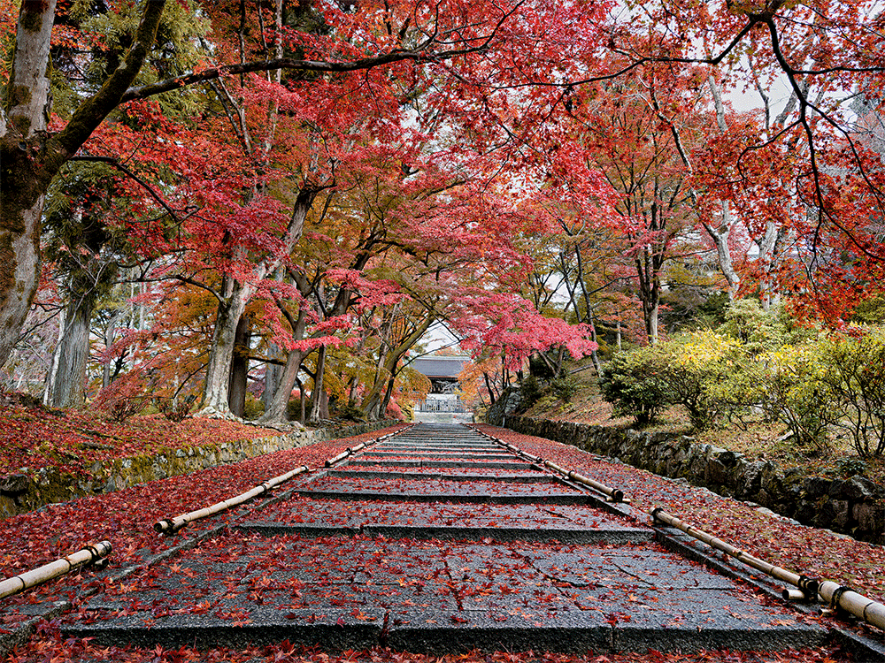 Fstoppers – Photographing the world – Japan with Elia Locardi 3 photographing the world japan locations