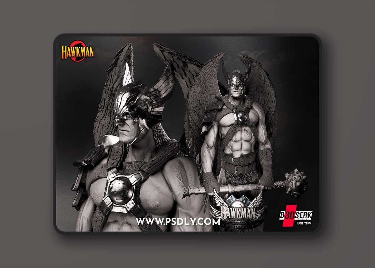 B3DSERK - Hawkman Bust – 3D Print Model