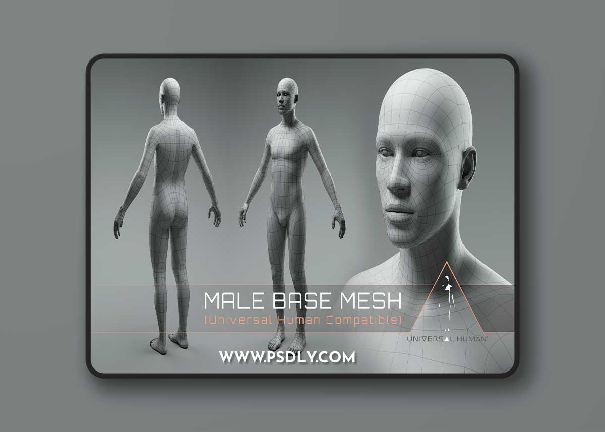 Blender Universal Human - Base Body Mesh 2.1