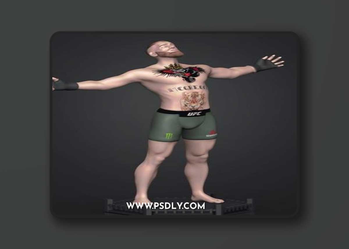 Conor McGregor – 3D Print Model