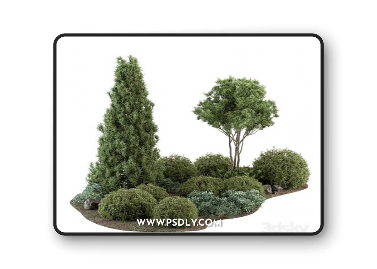 Garden Set Topiary and pine Plants – Outdoor Plants Set 410
