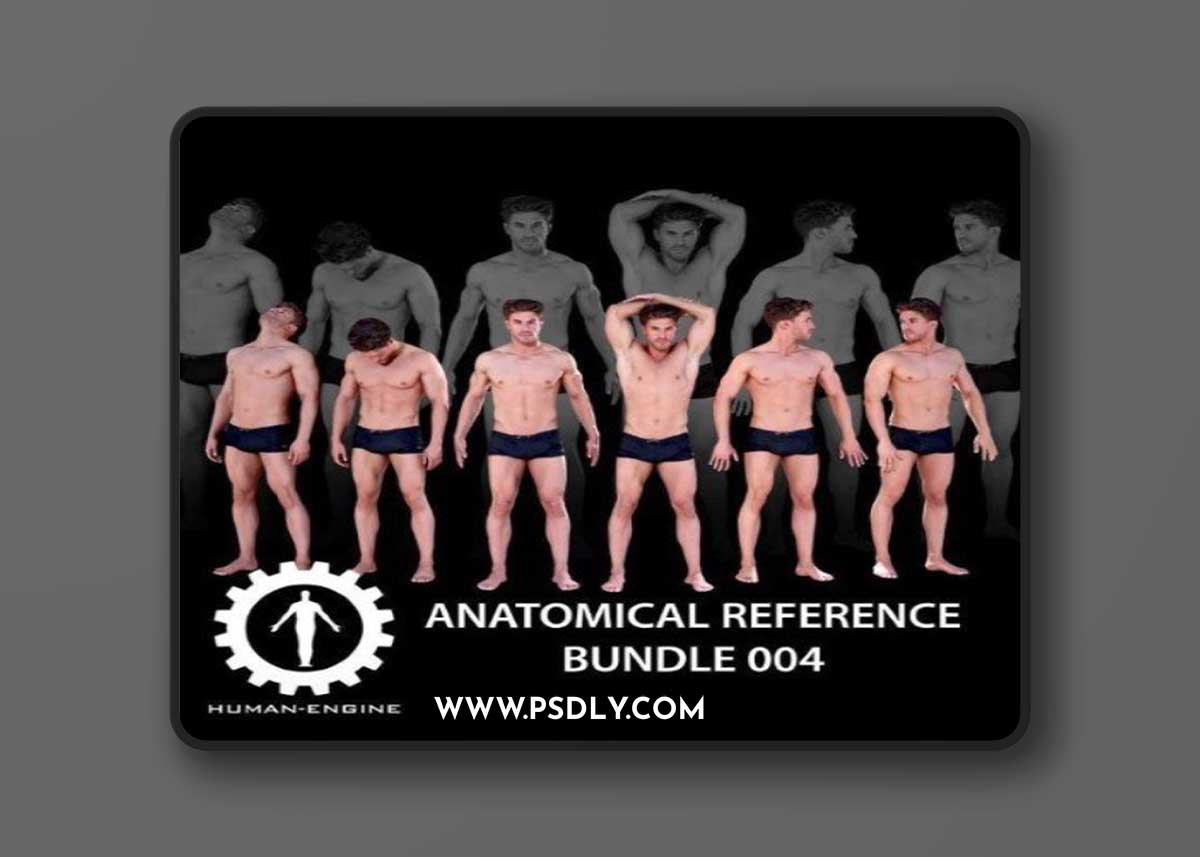 Human 3d Models – NSFW Body Reference Models