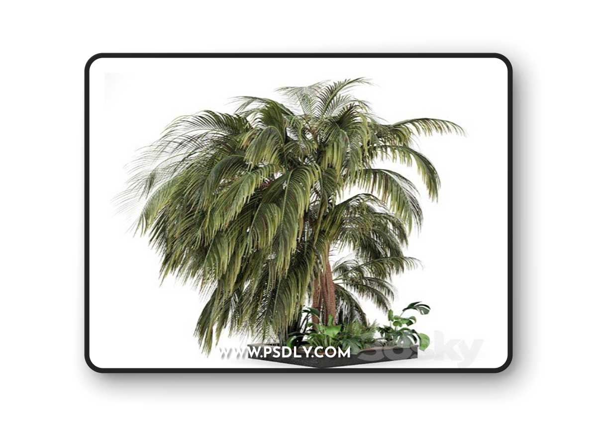 Outdoor Garden set bush and Tree - Garden Set 126