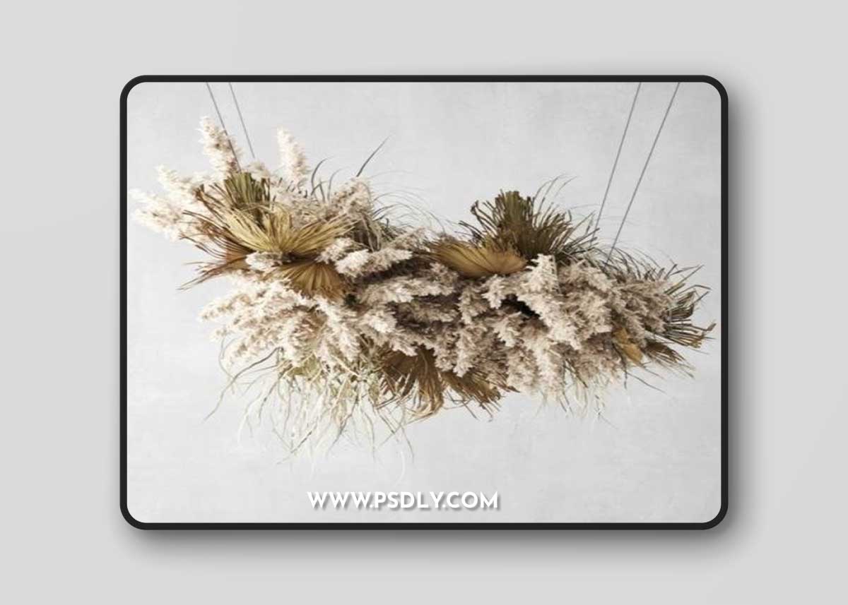 Pendant Decor Pampas Grass And Dried Palm Leaves