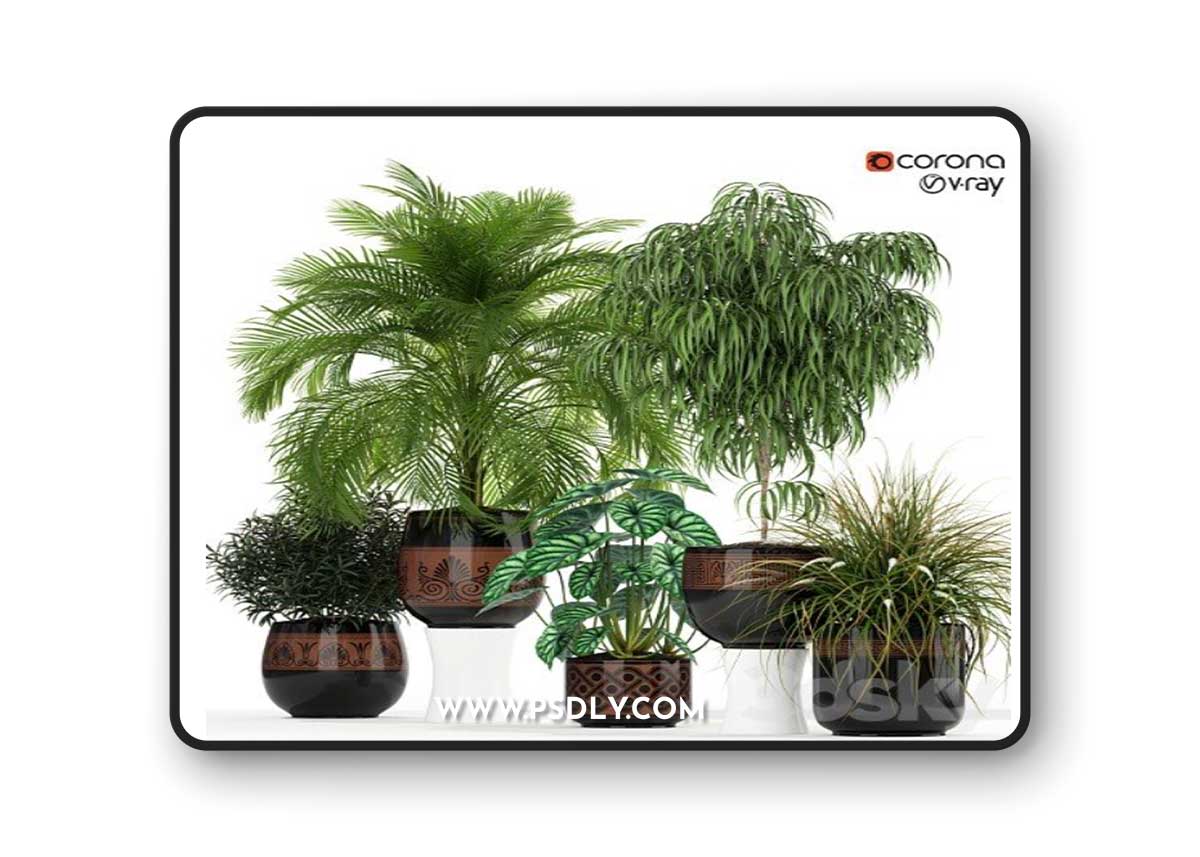 Plants collection 182 3D Model
