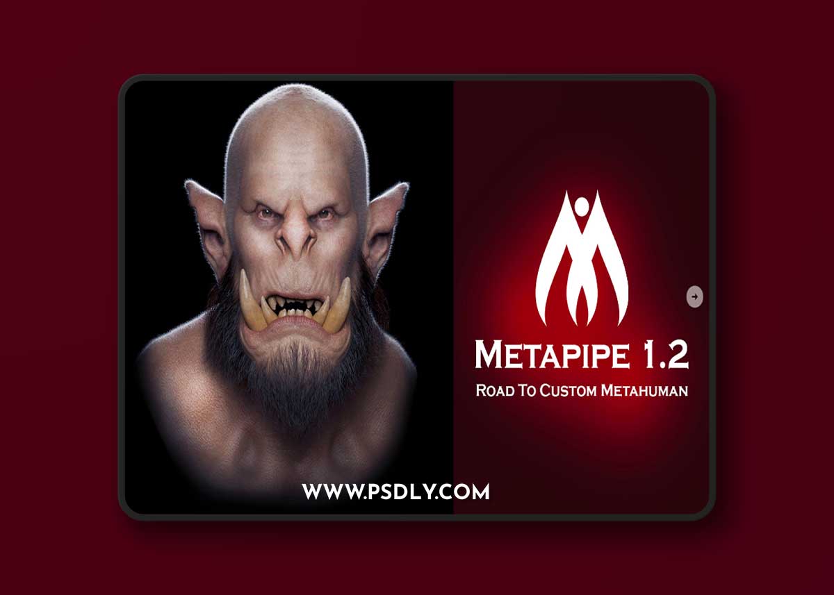 Road to Custom Metahuman | Metapipe (Custom Metahuman & Expressions Tool)