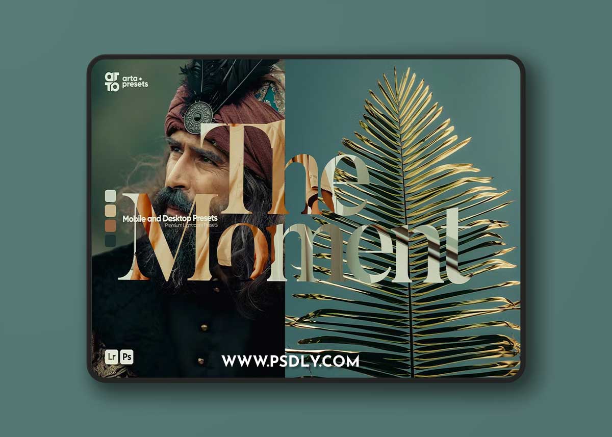 ARTA - The Moment Presets for Lightroom N4D9XZ5