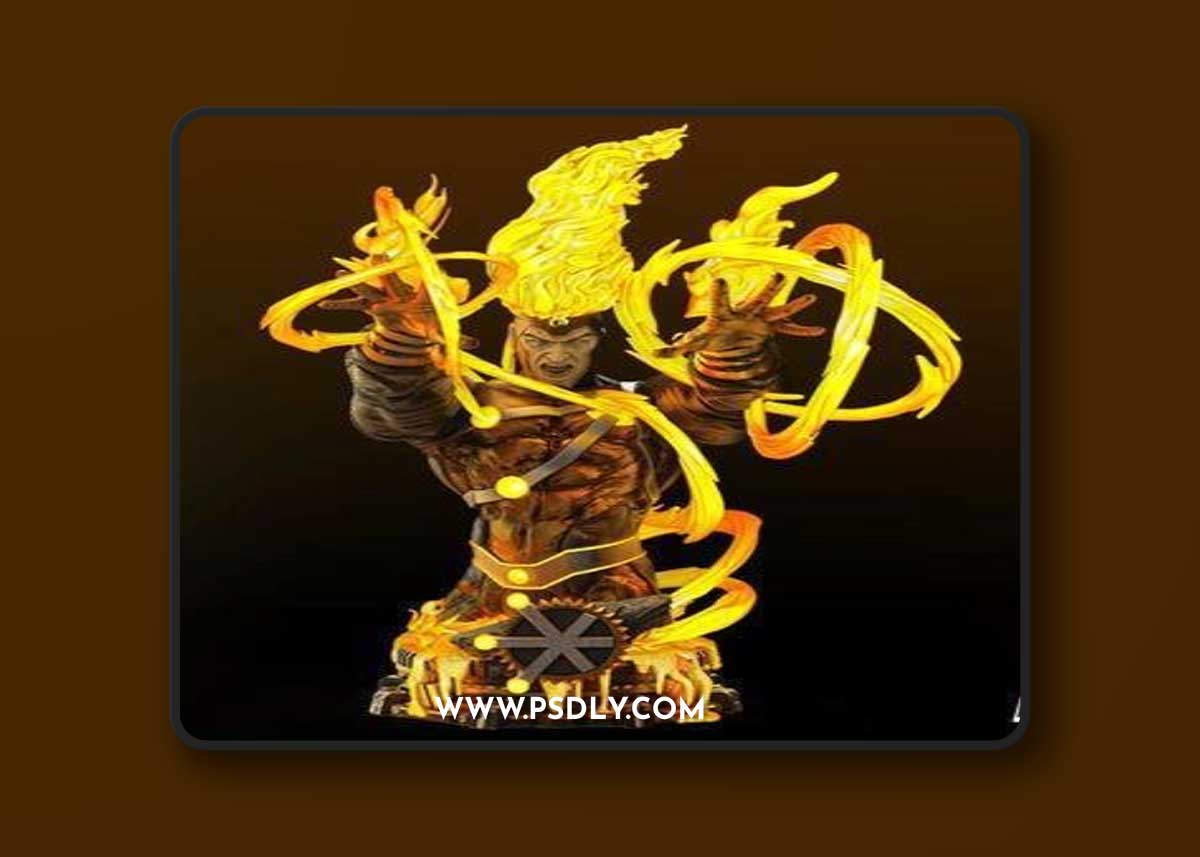 B3DSERK - Firestorm Bust – 3D Print Model