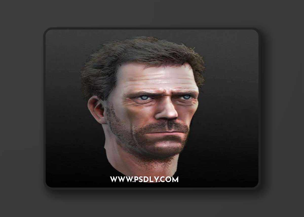 Hugh Laurie Bust 3D Model