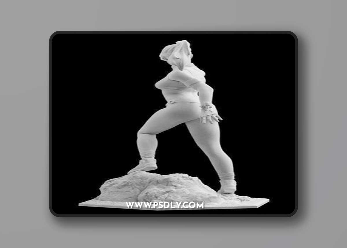 Mortal Kombat 11 Sonya Blade Statue – 3D Print Model