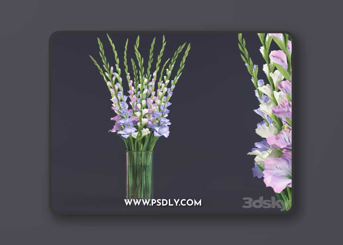 Gladiolus bouquet in glass vase