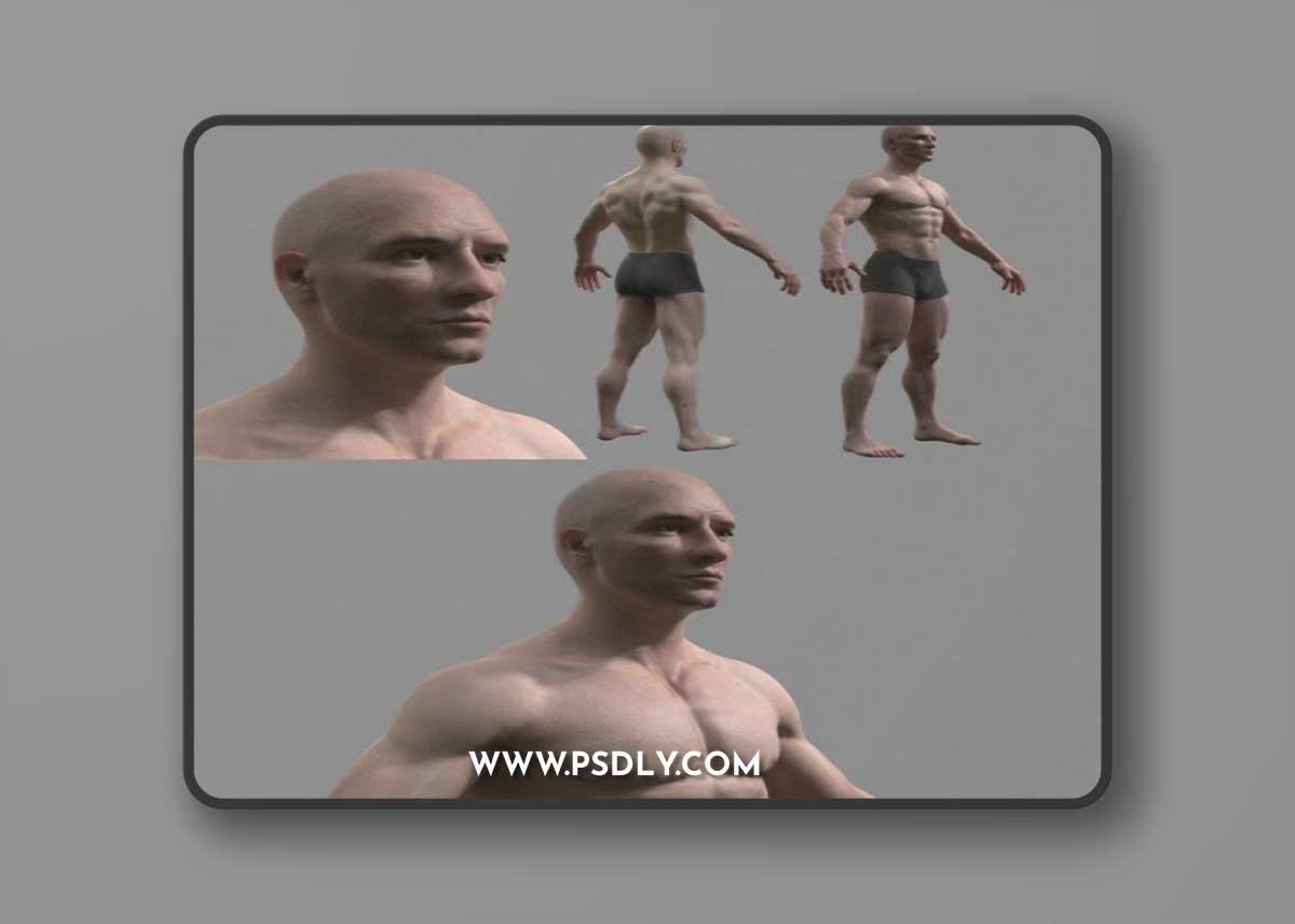 Male Character 3D Model