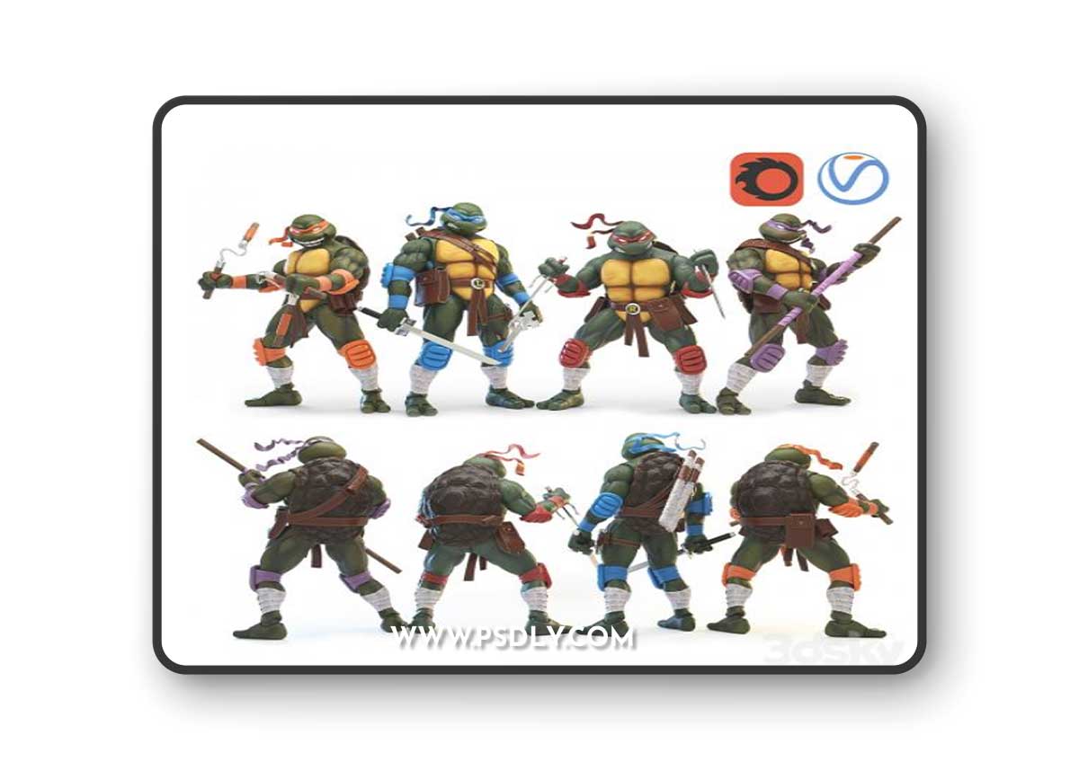 Teenage Mutant Ninja Turtles (TMNT)