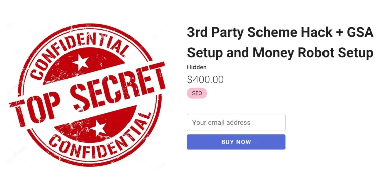 Holly Starks – 3rd Party Scheme Hack + GSA Setup and Money Robot Setup 2 image 14