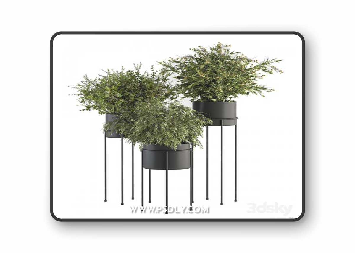indoor Plant Set 371- Bush and Plant Set in Black stand