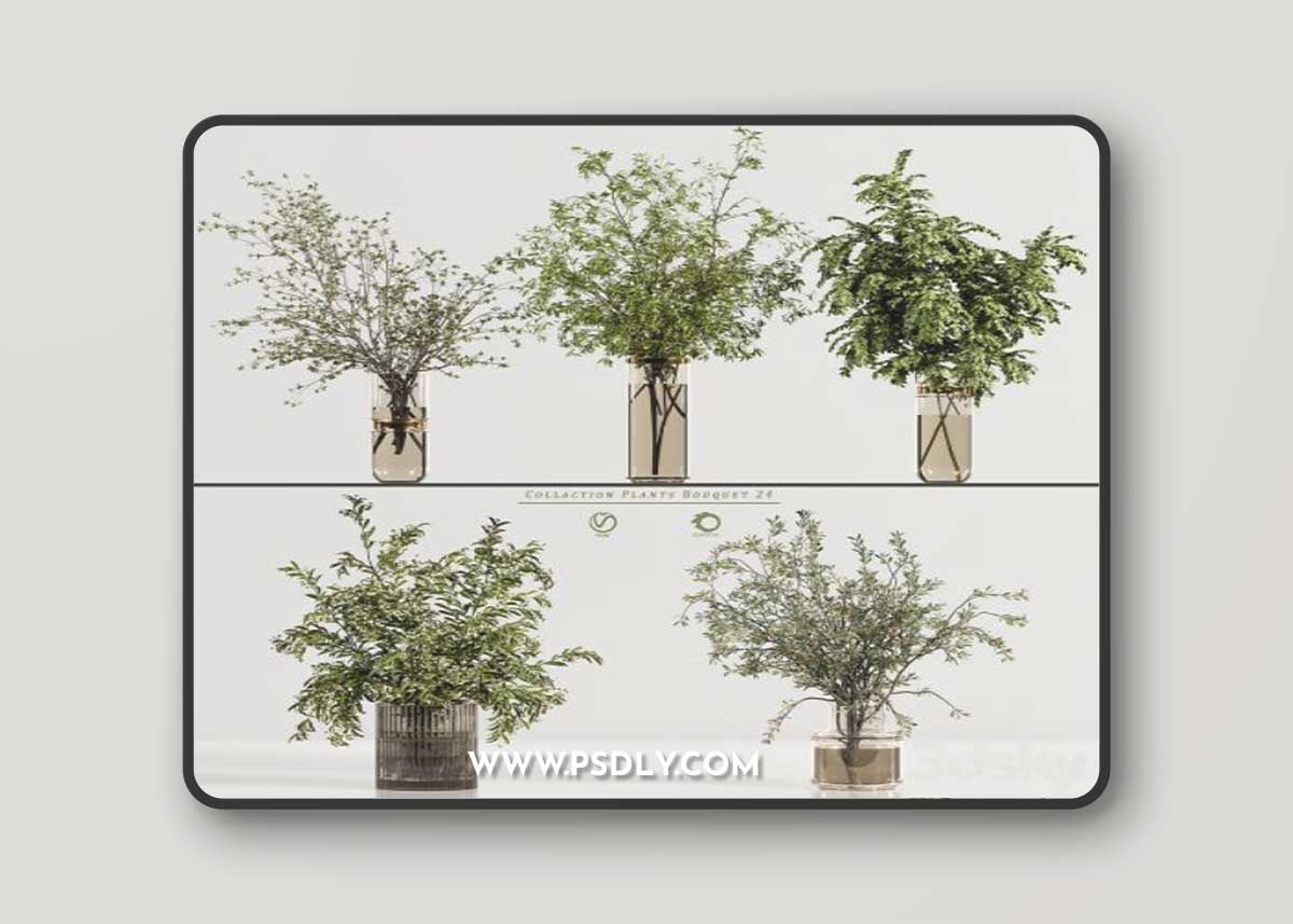Collaction Plants Bouquet 24 3D Model