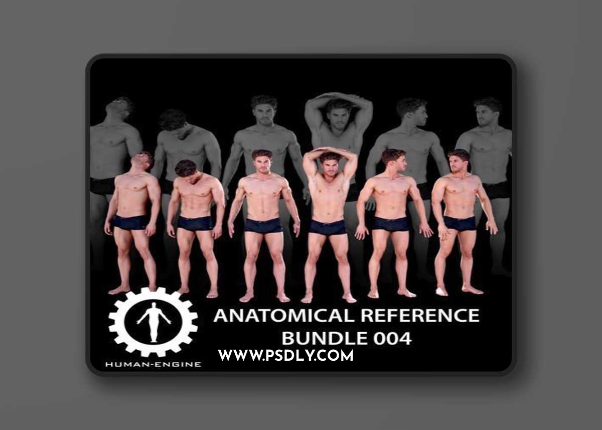 6 Male Standing Poses Anatomical Reference Bundle 004