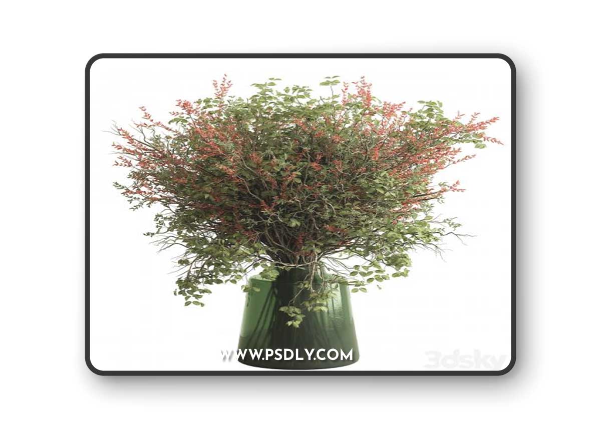 Bouquet - Green Branch 115 3D Model